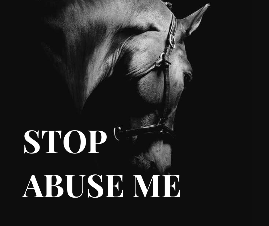 SAY NO TO VIOLENCE