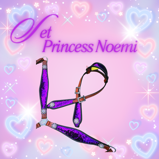 Set Testiera e pettorali PRINCESS NOEMI